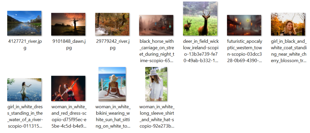 Image 1